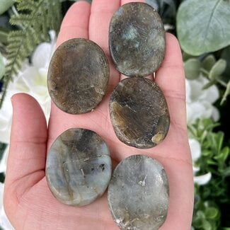 Labradorite Worry Stones - Medium Oval
