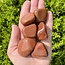 Gold Sandstone (Goldstone) Sand Stone - Tumbled XL