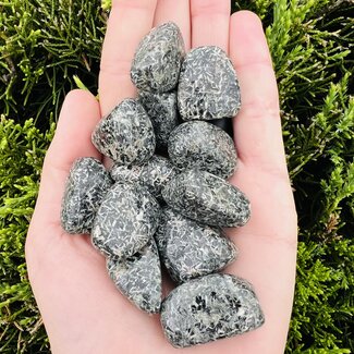 Chrysanthemum (Flower) Stone - Tumbled Smooth