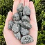 Chrysanthemum (Flower) Stone - Tumbled Smooth