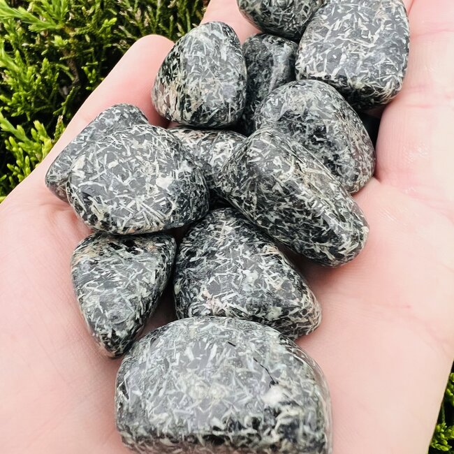 Chrysanthemum (Flower) Stone - Tumbled Smooth