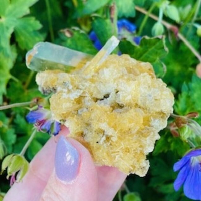 Golden Selenite (Satin Spar Gypsum) Specimen (Medium) Cluster - Rough Raw Natural (Peru)