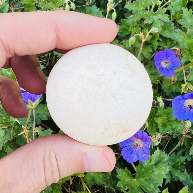 Lonsdaleite (Hexagonal Diamond) Sphere - Medium