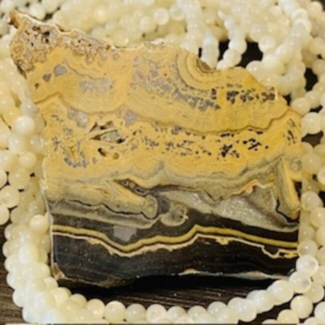 Schalendblende - Slice Slab (Galena Wurtzite Sphalerite Pyrite & Marcasite)