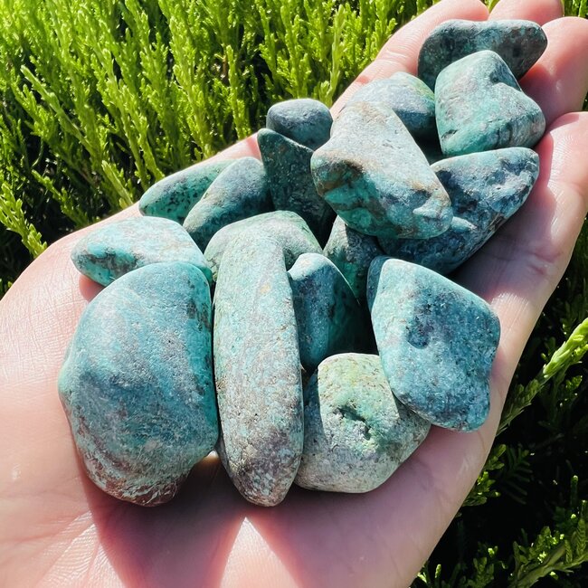 Eilat Stone (King Solomon Stone) - Tumbled