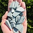 Green Taralite - Tumbled