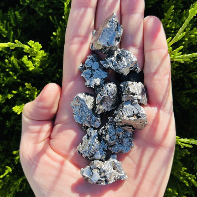 Meteorite (Campo Del Cielo) - Rough Raw Natural