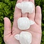 Clear Quartz Turtles - Small 1.5" Figurine Animal Carving