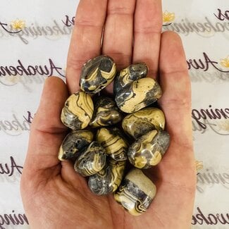 Schalenblende - Tumbled (Galena Wurtzite Sphalerite Pyrite & Marcasite)