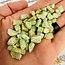Green Pargasite - Rough Raw Natural