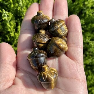 Gold Tigers Eye Acorns - Carving 1"