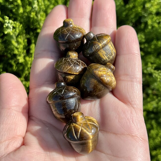 Gold Tigers Eye Acorns - Carving 1"