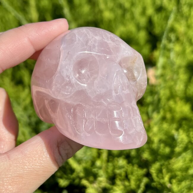 Rose Quartz Skulls - Medium 2" Carving