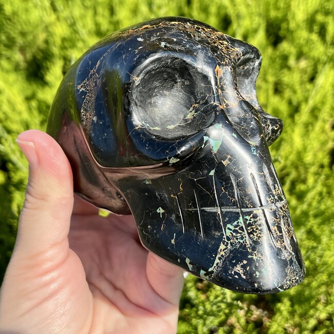 Black Tourmaline with Chrysocolla Skull  - Large Specimen