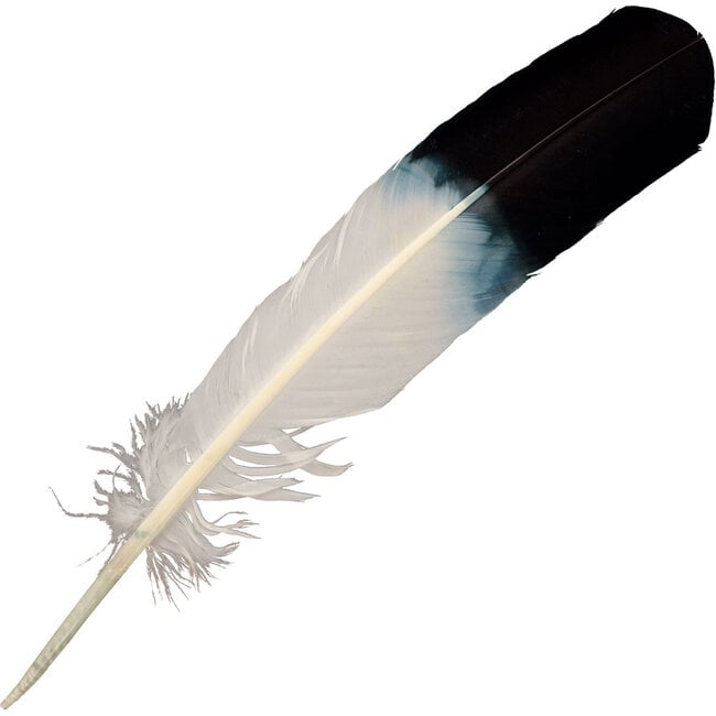 Eagle Feather for Sage/Smudging (Imitation)