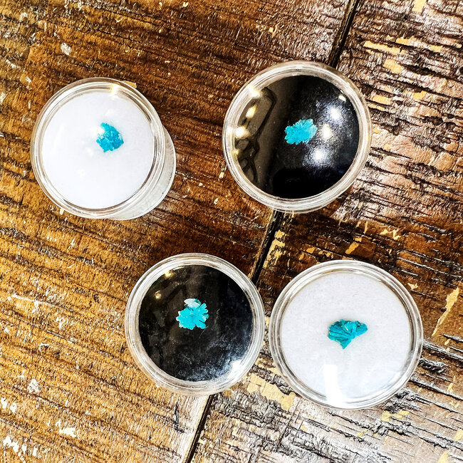 Cavansite Flower - Rough Raw Natural