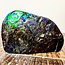 Korite Ammonite (Ammolite) - Specimen XL Polished - Natural Canada