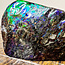 Korite Ammonite (Ammolite) - Specimen XL Polished - Natural Canada
