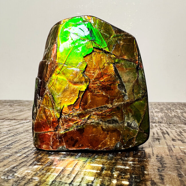 Korite ammolite store