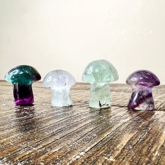 Rainbow Fluorite Mushrooms - Medium/Large