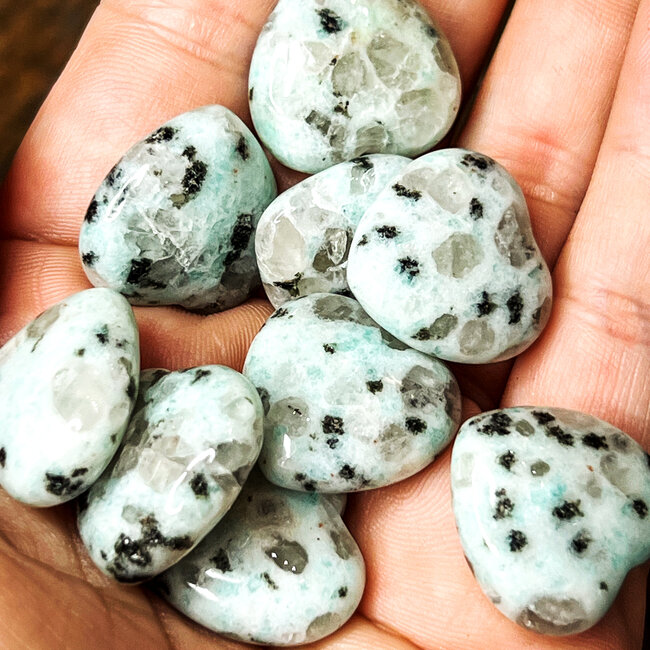 Kiwi Jasper (Amazon River Stone Sesame) Hearts Mini Carving