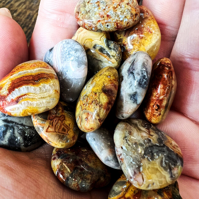 Crazy Lace Agate Hearts Mini