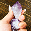 Amethyst Point (Dragons Tooth Teeth Root Elestial ) - Large Rough Raw Natural