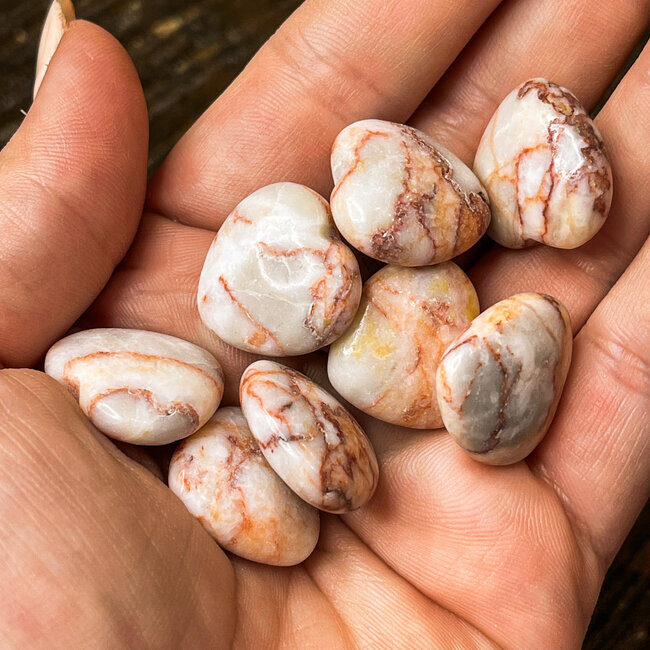Red Vein Network Jasper Hearts Mini
