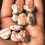 Red Vein Network Jasper Hearts Mini