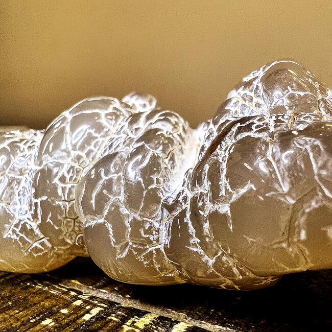 Snake Skin Agate Free Form Specimen