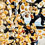 Citrine Bonsai Tree Specimen - Jumbo