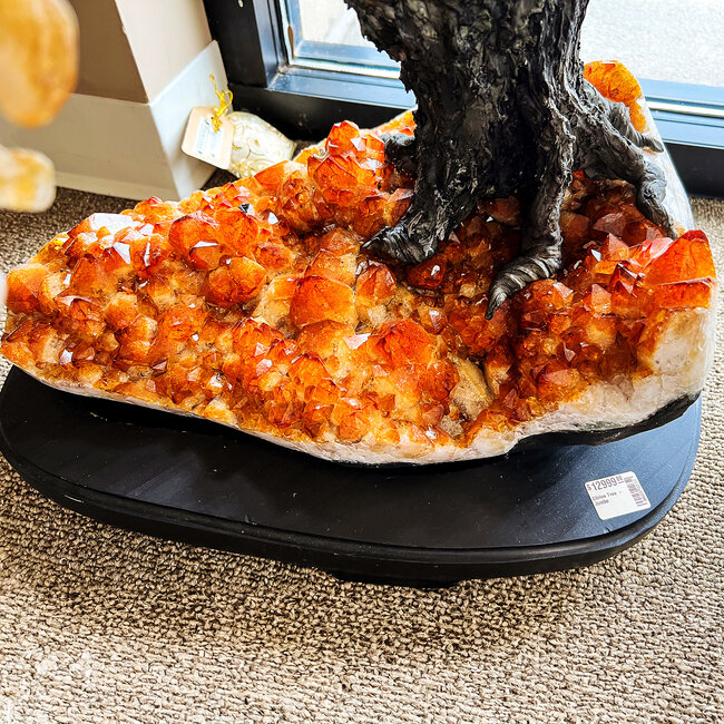 Citrine Bonsai Tree Specimen - Jumbo