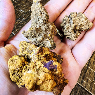 Coprolite (Dinosaur Poop) - Rough Raw Natural