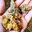 Coprolite (Dinosaur Poop) - Rough Raw Natural