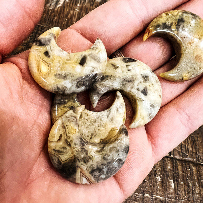 Crazy Lace Agate Crescent Moons - Medium