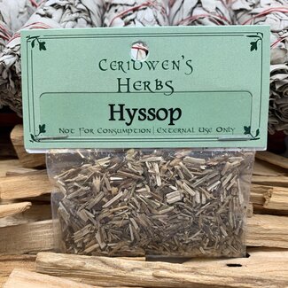 Hyssop Herb Packets - Dried Loose Herbal Botanical Ritual Apothecary (.15oz) Magic Magick Wiccan - Ceridwen's Yssop Ysopo
