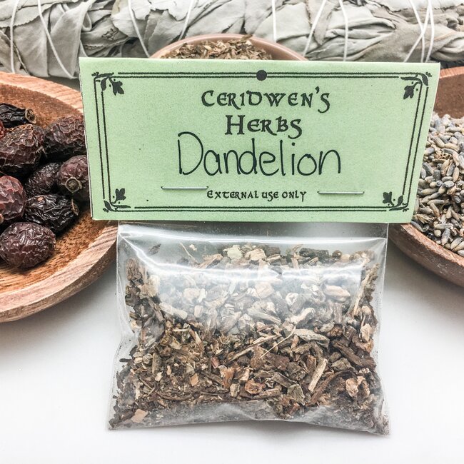 Dandelion Root Herbs Packet - .45oz Ceridwen's (Blowball Cankerwort Lion's Tooth Priest's Crown Puffball Swine Snout White Endive Wild Endive Piss-a-Bed)