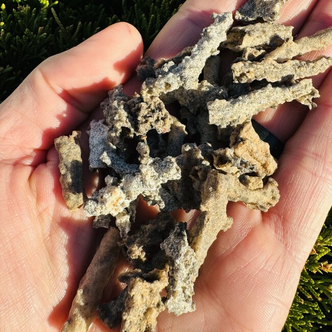 Fulgurite - Rough Raw Natural