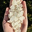 White Amblygonite - Rough Raw Natural