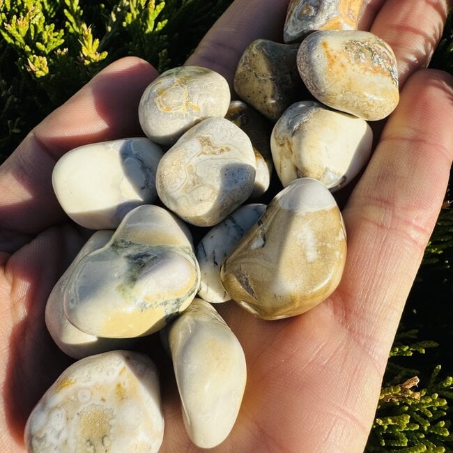 Cobra Jasper - Tumbled