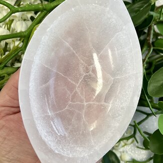 Selenite (Satin Spar Gypsum) Charging Bowl Dish - 5.75" Eye Pointed Oval