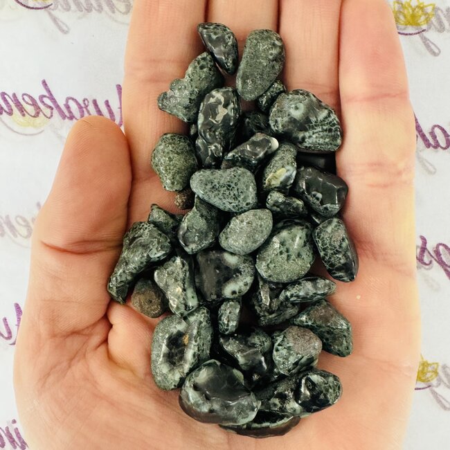 Isle Royale Greenstone (Clorastrolite) - Tumbled