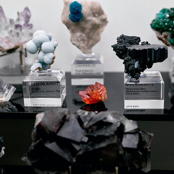 Statement Crystals & Collectors Pieces