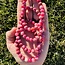 Pink Smithsonite Bracelet - 8mm