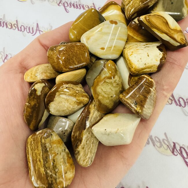 Limnoquartzite - Tumbled