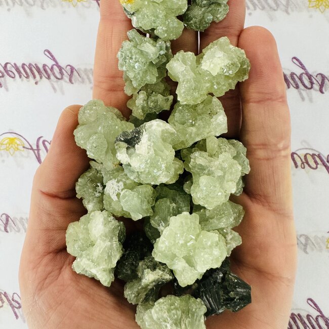 Green Prehnite Rough Raw Natural