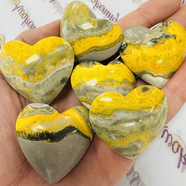 Bumblebee Bumble Bee Jasper Hearts - Medium
