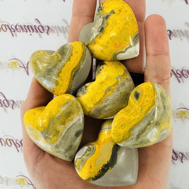 Bumblebee Bumble Bee Jasper Hearts - Medium