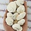 Shiva Eye Shell Hearts - Pacific Cats Eye Mermaids Money
