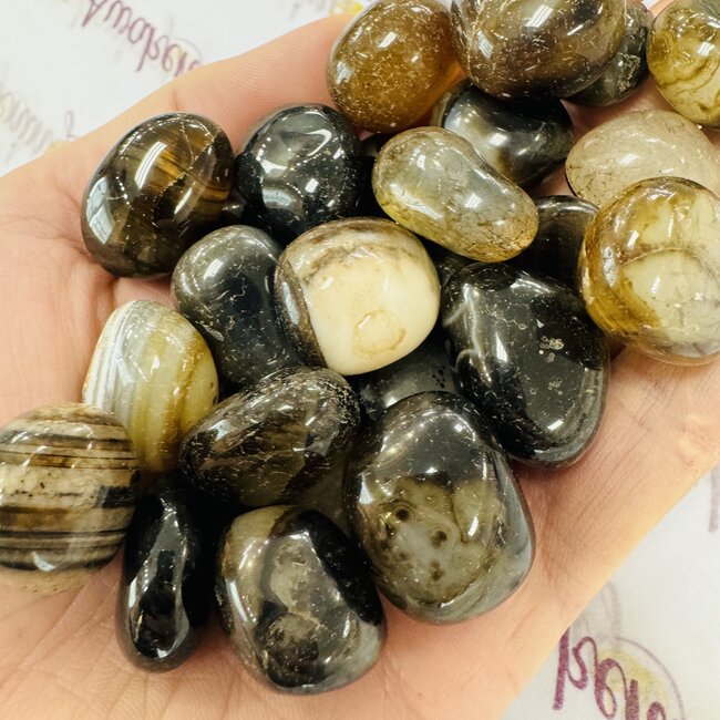 Black & Grey Banded Botswana Agate - Tumbled